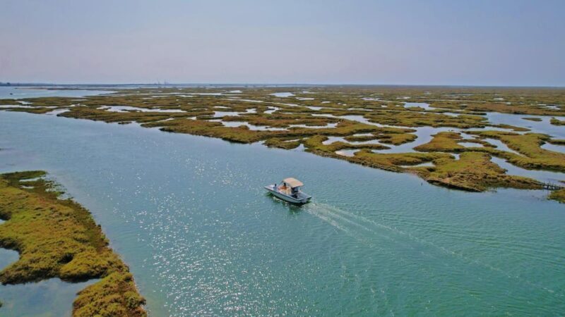 Faro: Ria Formosa Boat Tour by Eco-Friendly Solar Boat - Why the Faro Ria Formosa Solar Boat Tour Is Worth Considering