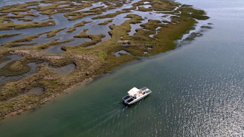 Faro: Ria Formosa Boat Tour by Eco-Friendly Solar Boat - The Experience: A Closer Look