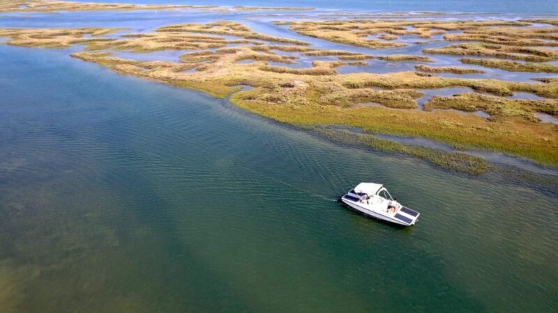 Faro: Ria Formosa Boat Tour by Eco-Friendly Solar Boat - Who Should Consider This Tour?