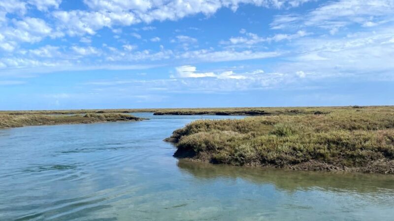 Faro: Ria Formosa Boat Tour by Eco-Friendly Solar Boat - The Sum Up: Who Will Love This Experience?
