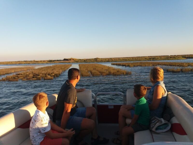 Faro: Ria Formosa Boat Tour - An In-Depth Look at the Faro: Ria Formosa Boat Tour