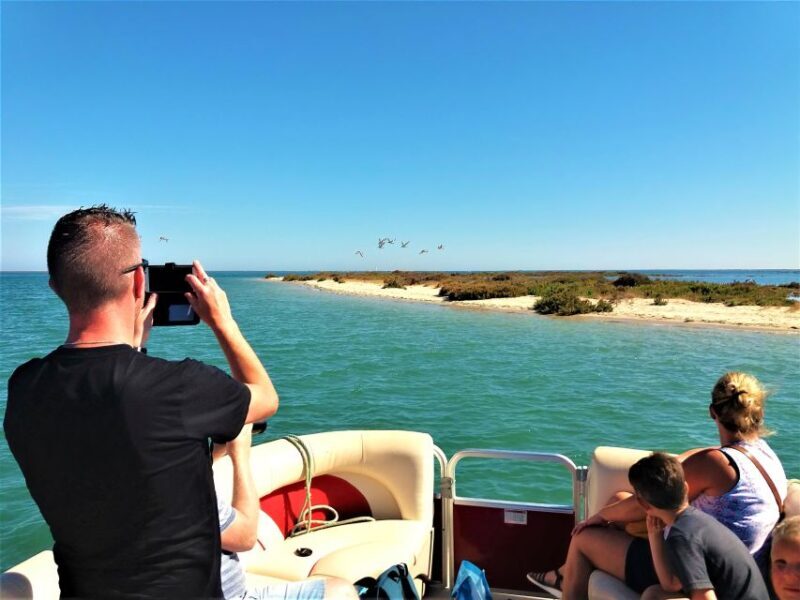 Faro: Ria Formosa Boat Tour - FAQs