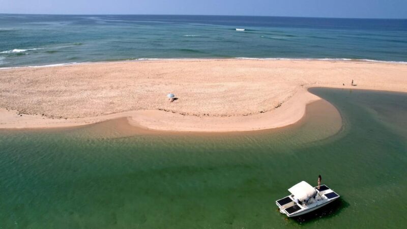 Faro: Ria Formosa Eco Birdwatching Boat Tour - Final Thoughts