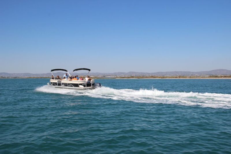 Faro: Ria Formosa Lagoon Small Boat Tour with Local Guide - The Experience from a Traveler’s Perspective