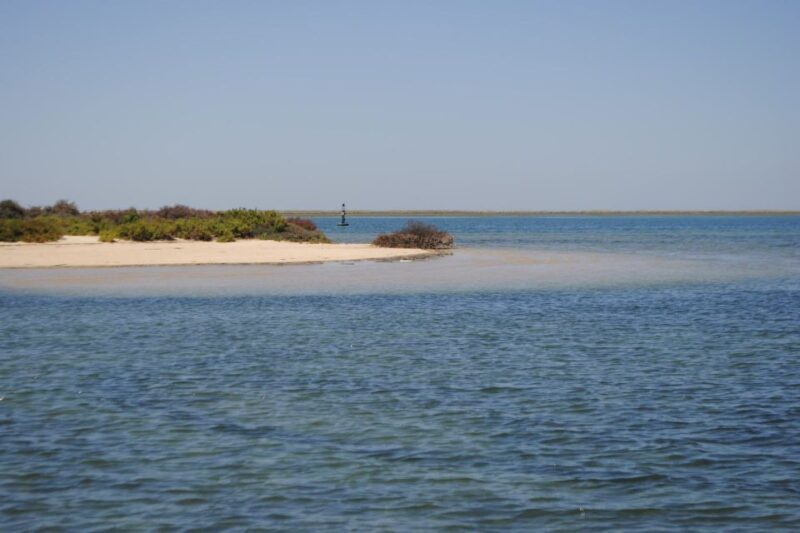 Faro: Ria Formosa Lagoon Small Boat Tour with Local Guide - FAQ