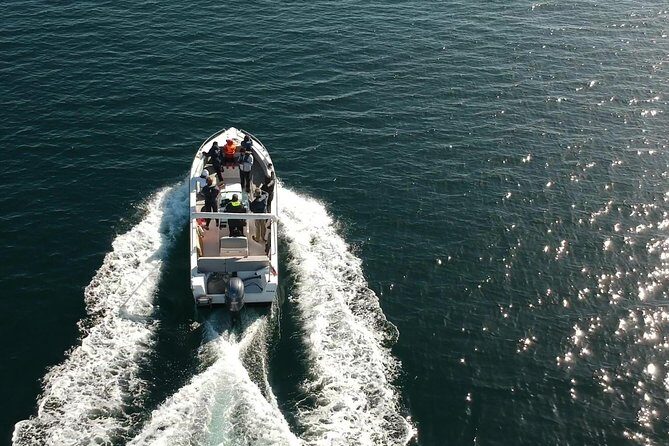 Faro - Ria Formosa tour with visit to 2 islands (Deserta, Farol) 3.5 hours - Who Will Love This Tour?