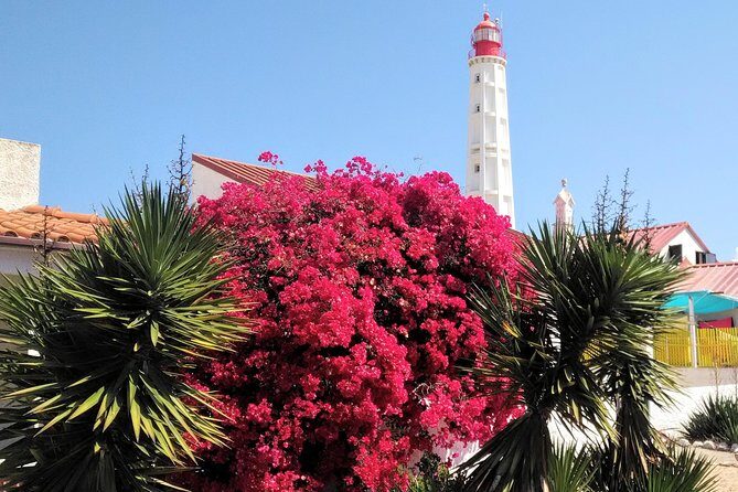 Faro - Ria Formosa tour with visit to 2 islands (Deserta, Farol) 3.5 hours - The Sum Up