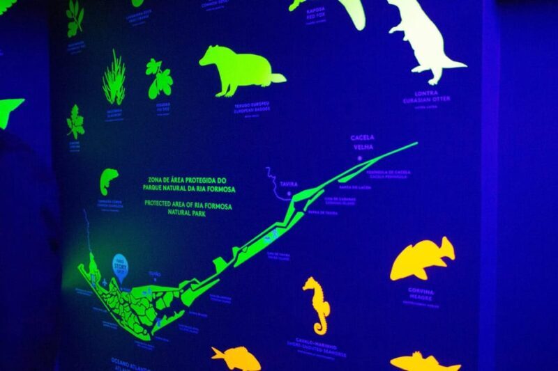 Faro Story Spot - Multimedia Museum&Restaurant: Tour&Tasting - Key Points