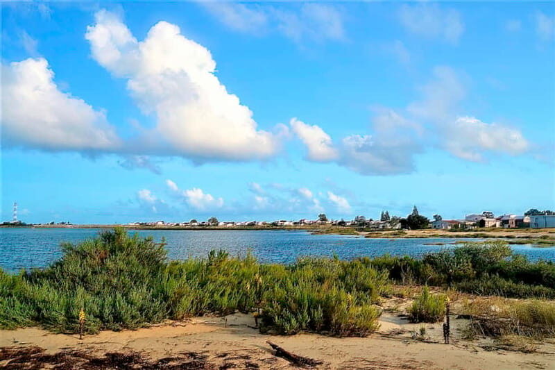 Faro: Sunset 1 hour Ria Formosa Boat Tour - Authentic Experiences & Real Feedback