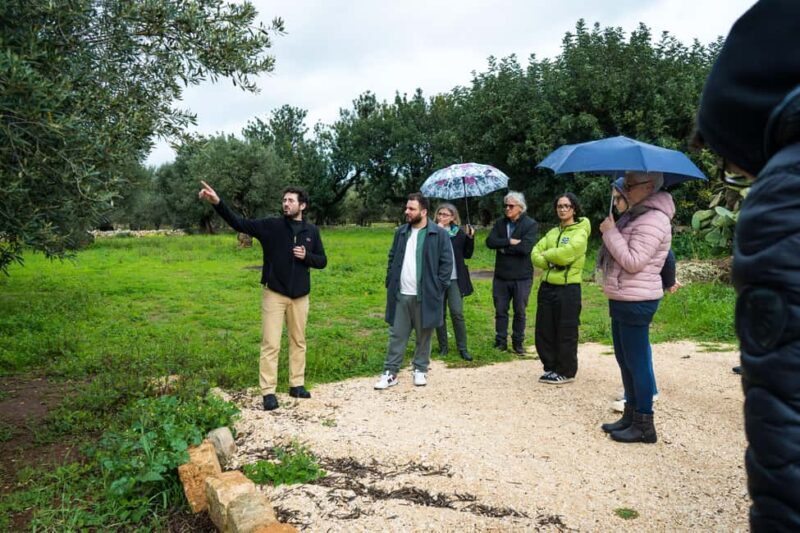 Fasano: Olive Oil Tour With Tasting and Food Pairing - Who Will Love This Tour?