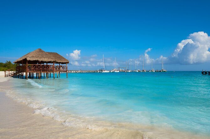 Fascinating beach club at Riviera Maya, full day pass with transport included - An In-Depth Look at the Beach Club Day Trip