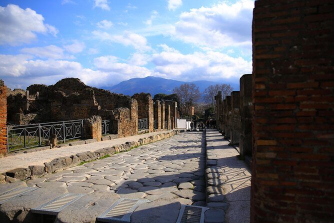 Fast Access Exclusive Private Ancient Pompeii Half Day Tour with Local Guide - FAQ