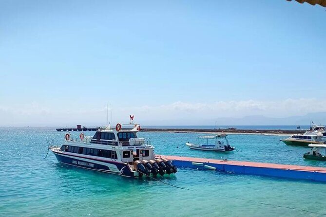 Fast Boat Transfer Sanur to Nusa Penida by Penidago - FAQ