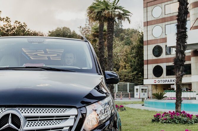 Fat Taxi - Private Istanbul Airport (IST) Transfer to City - Who Is This Transfer Perfect For?