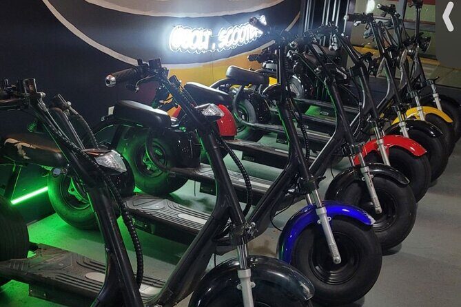 Fat Tire 2 Seater Rental in Houston - Is This Experience Worth the Price?