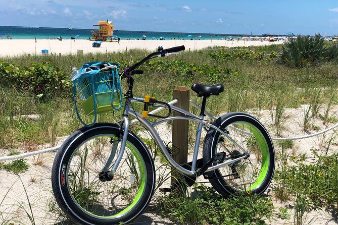 Fat Tire Bike Rental for Sand Riding - The Sum Up: Who Should Book This?