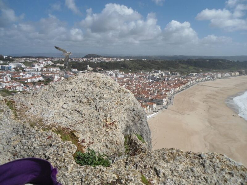 Fátima, Batalha, Alcobaça, Nazaré and Óbidos Private Tour - Who Would Love This Tour?