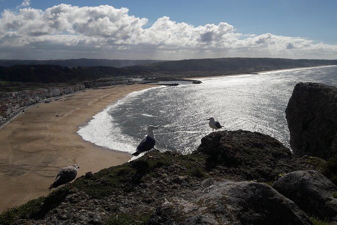 Fátima, Batalha, Nazaré and Óbidos day Tour - Frequently Asked Questions
