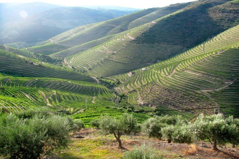 Fatima, Batalha, Nazare, Obidos Private Full Day Tour - A Deep Dive into the Day’s Adventure