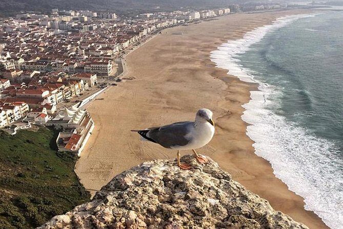 Fatima Batalha Nazaré Óbidos Small Group Tour From Lisbon - The Itinerary: What You’ll Experience