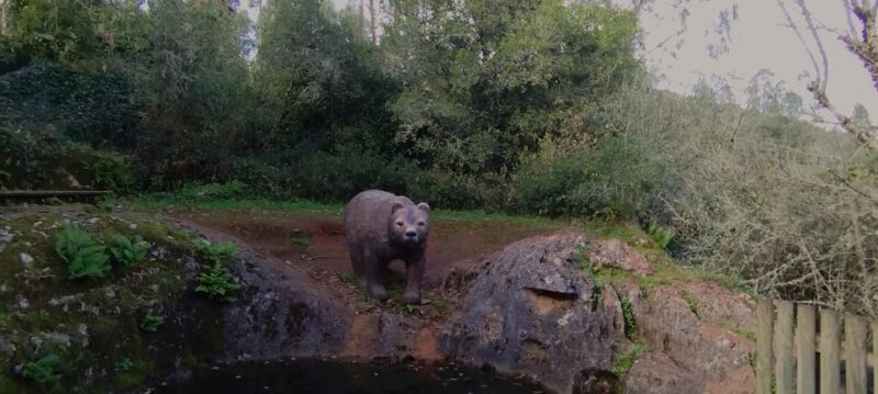 Fátima: Caves & Tradition E-bike Tour - Practical Tips for Your Tour