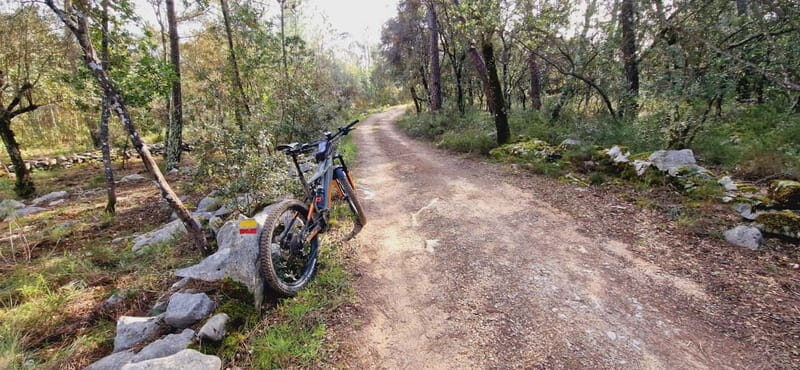 Fátima: E-Bike Tour to Dinosaur Footprints Natural Monument - Key Points