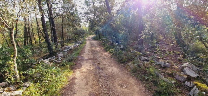 Fátima: E-Bike Tour to Dinosaur Footprints Natural Monument - An In-Depth Look at the Fátima E-Bike Tour