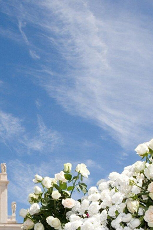 Fátima Holy City Full Day Tour - The Sum Up: Who Will Appreciate This Tour?