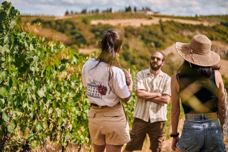 Fattoria La Leccia, Monterspertoli: vineyard walk & tasting - Key Points