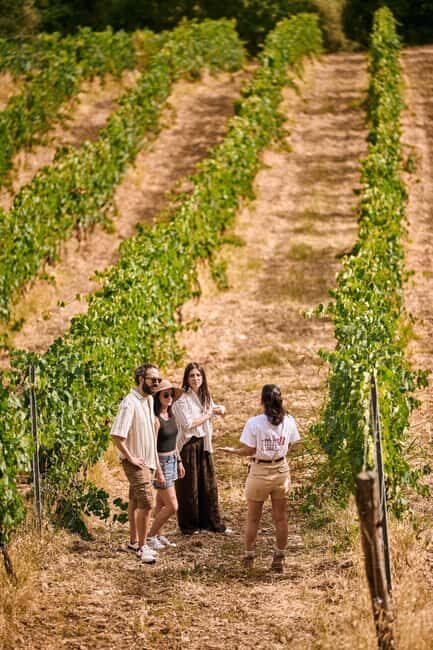 Fattoria La Leccia, Monterspertoli: vineyard walk & tasting - An Introduction to the Experience