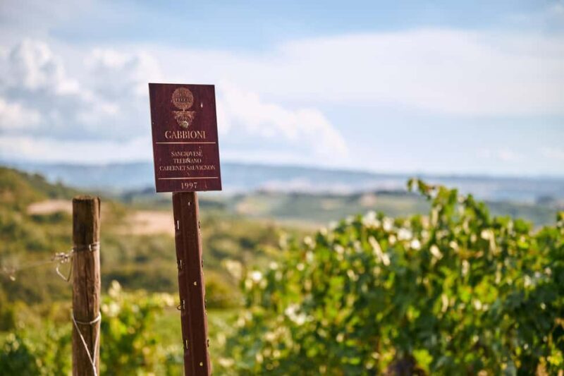 Fattoria La Leccia, Monterspertoli: vineyard walk & tasting - Sunset Tasting — Savoring the Flavors