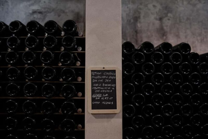 Fattoria La Leccia: Winery Tour and Tastings in Montespertoli - A Closer Look at the Experience