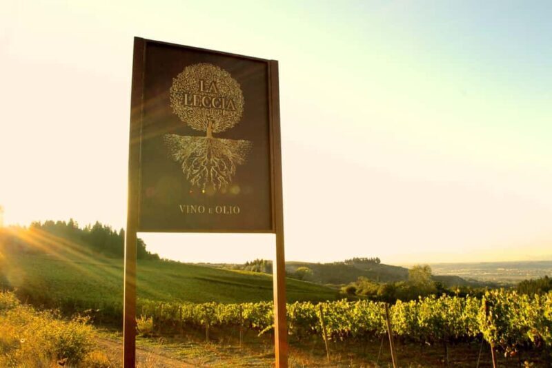 Fattoria La Leccia: Winery Tour and Tastings in Montespertoli - Final Thoughts