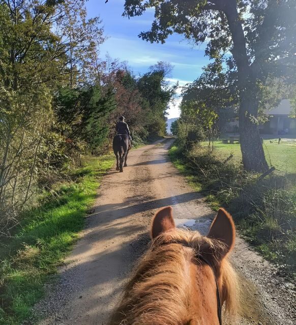 Fattoria Tègoni: horseback riding in Tuscany - Key Points