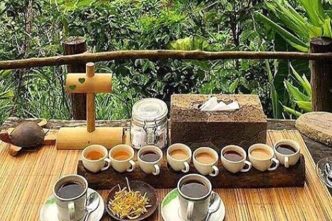 Favorite Sites of Ubud Daytrip - Who Will Love This Tour?