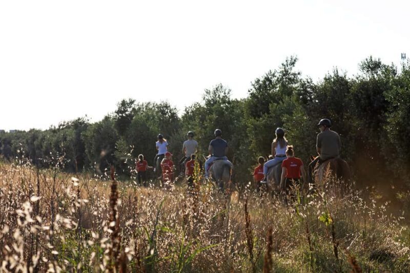 Fazana: Sunset 1-hour Horse Riding in Nature with Guide - Who Will Love This Tour?