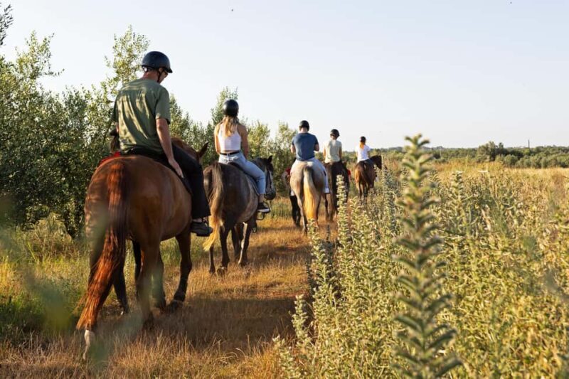 Fazana: Sunset 1-hour Horse Riding in Nature with Guide - Final Thoughts