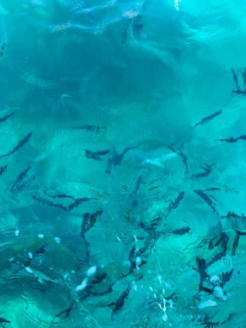 Fazana: Taxi to Sveti Jerolim island - Frequently Asked Questions