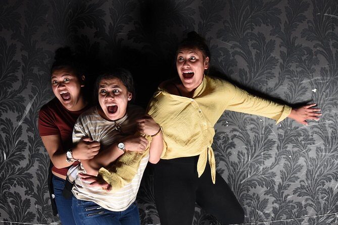 Fear Factory Queenstown - What to Expect at Fear Factory Queenstown