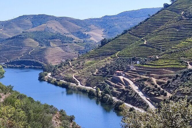 Feel Douro Tour - An In-Depth Look at the Feel Douro Tour