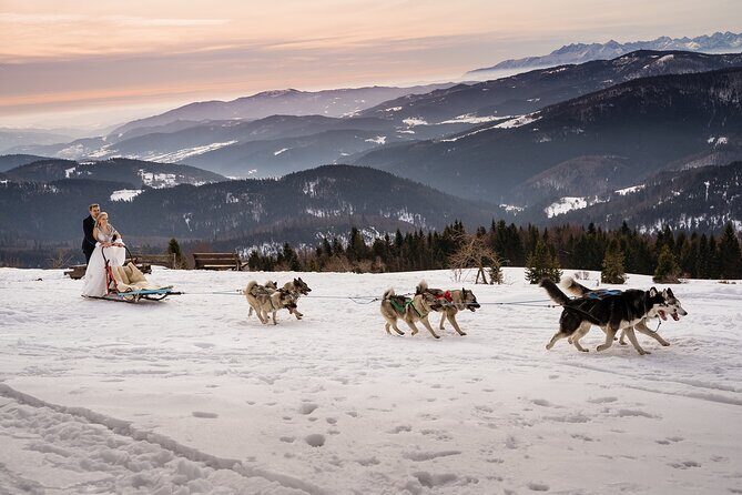 Feel the Magic of Winter with Thrilling Arctic Dog Sled Rides - Feel the Magic of Winter with Thrilling Arctic Dog Sled Rides