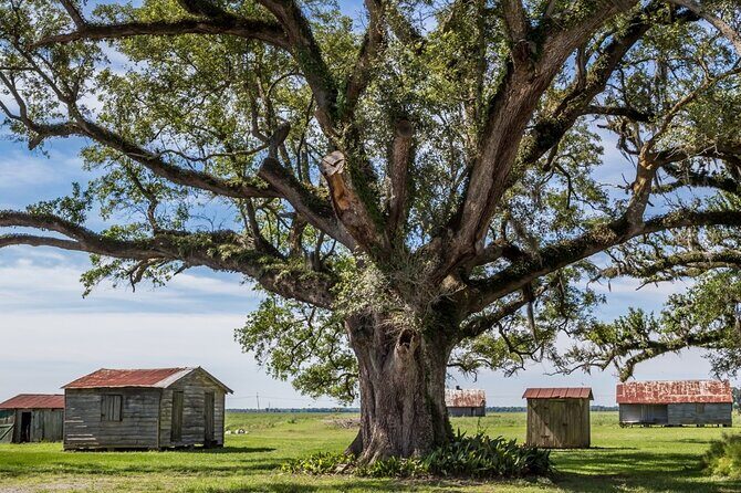 Felicity Plantation Tour - The Value of the Experience