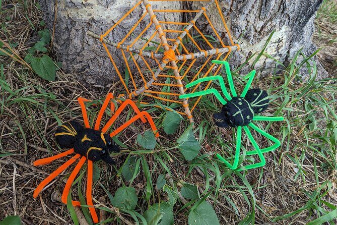 Felted Halloween Spider Art Class in Estes Park - Who Will Love This Experience?