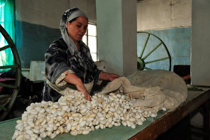 Fergana Valley 2 Day Private Tour By Train From Tashkent - Who Should Consider This Tour?