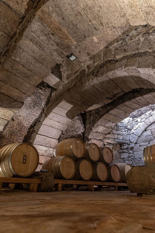 Fermoselle; Visit to the Historical Winery with Wine Tasting - The Sum Up: Who Should Book This Experience?