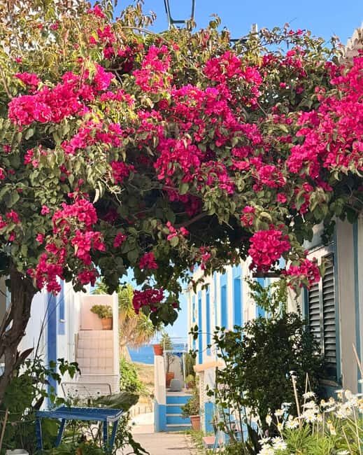 Ferragudo: Guided Walking Tour with Scenic Views - Who Will Love This Tour?