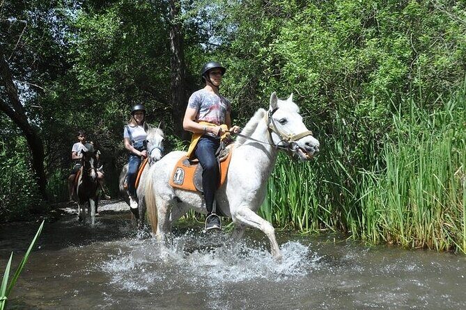 Fethiye Horse Riding Experience - FAQ