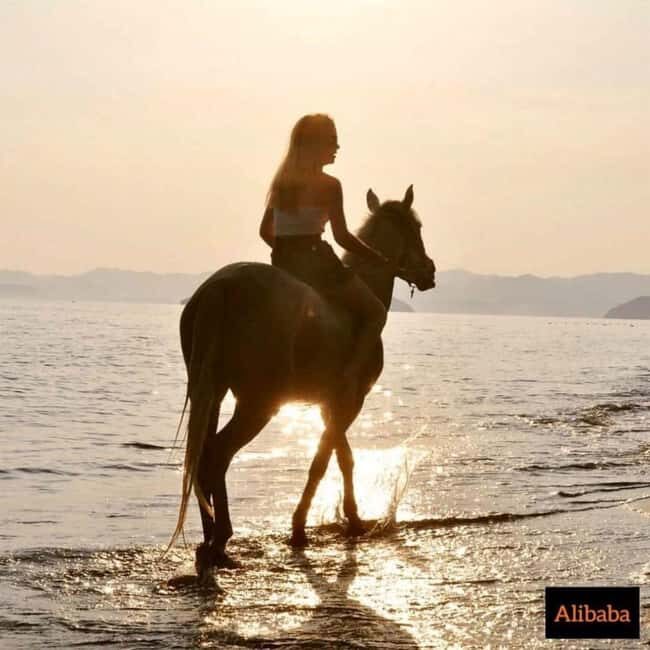 Fethiye Horse Riding in the Sea, Botanical Forest, Beach and Coastal Horseback Riding - Key Points