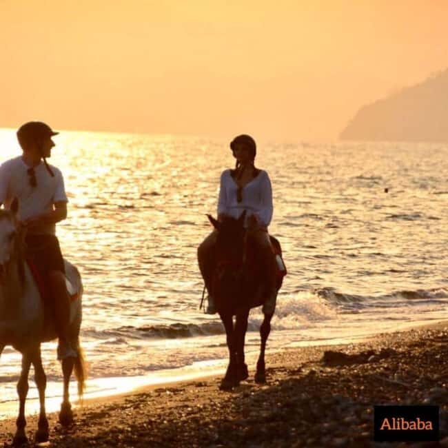 Fethiye Horse Riding in the Sea, Botanical Forest, Beach and Coastal Horseback Riding - What the Tour Entails