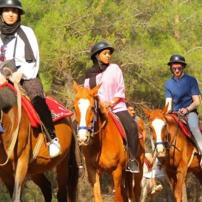 Fethiye Horse Safari Tour, Forest and Hisaronu View - Final Thoughts